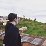 Profile Picture of Carol Scott (@cscott1147) on Instagram