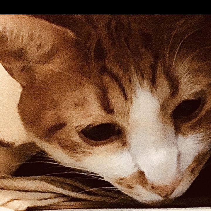 Profile Picture of shawnmcquarrie6 (@shawnmcquarrie6) on Tiktok