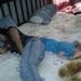 Profile Picture of Taylor Wicker (@twicker4) on Pinterest
