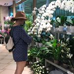 Profile Picture of Samantha Tams Betts (@happysamplantspam) on Instagram