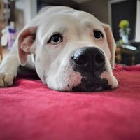 Profile Picture of Joseph Zablocki (@joseph-zablocki) on Quora