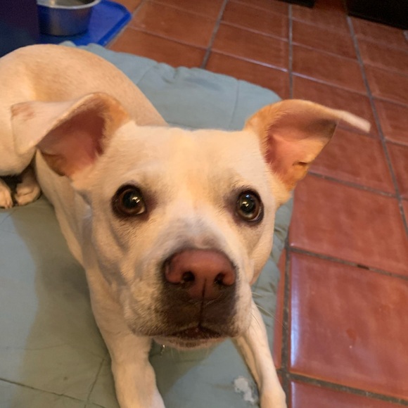 Gabe Avanzato - Poshmark Profile Picture of Gabe Avanzato (@gabe_avanzato) on Poshmark