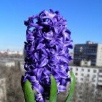 Profile Picture of Broadmore (@broadmoreofeli) on Instagram