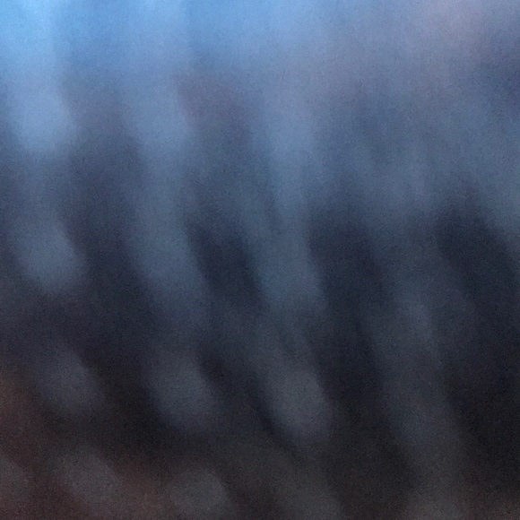 Profile Picture of Maya Ajanovic (@majanovic) on Poshmark