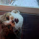 Profile Picture of Jordan Kay Wilson (@kayskreations) on Flickr