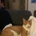 Profile Picture of David Koon (@david.koon.393) on Facebook