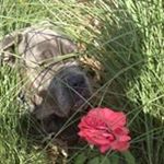 Profile Picture of Shari Daugherty (@sharidaugherty) on Instagram