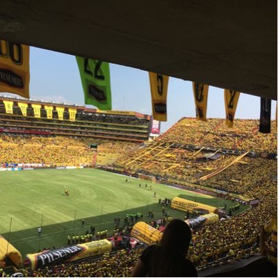 Profile Picture of Andres Basantes (@abasantesss) on Twitter