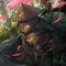 Profile Picture of Jeffrey Janis (@Jeffrey-Janis) on Facebook