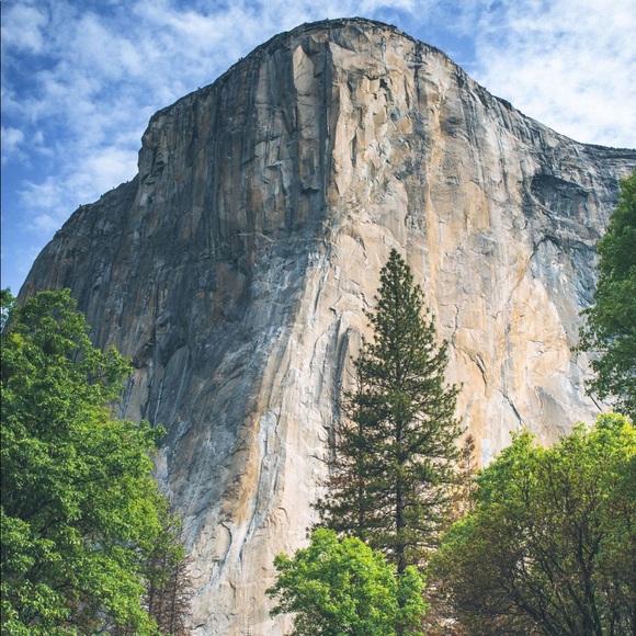 Profile Picture of Sebastian Paz (@s_paz7) on Poshmark