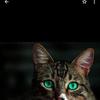 Profile Picture of Albert Stinger (@@albertsti) on Tiktok