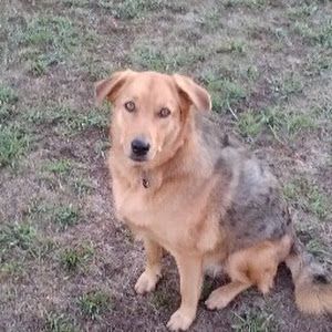 Profile Picture of Bruce Tarleton170 (@subsailor63) on Tiktok