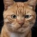 Profile Picture of David Draves (@daviddraves189) on Pinterest