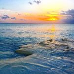 Profile Picture of Justin Moretti-Montpetit (@theholistickid) on Instagram