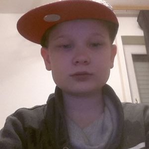 Profile Picture of Alex Lechner (@lechneralex375) on Twitter