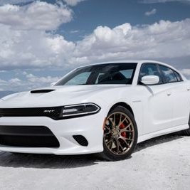 Profile Picture of Justin Paneto (@justin_paneto) on Twitter