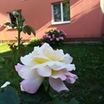 Profile Picture of Maria Andreescu (@maria.andreescu.543) on Instagram