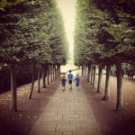 Profile Picture of tarynhiggins (@tarynhiggins) on Instagram