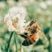 Profile Picture of Meggan Roberts (@meggan_roberts) on Pinterest