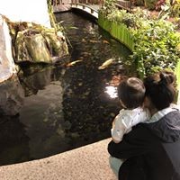 Profile Picture of Cody Hornsby (@cody-hornsby-1) on Quora