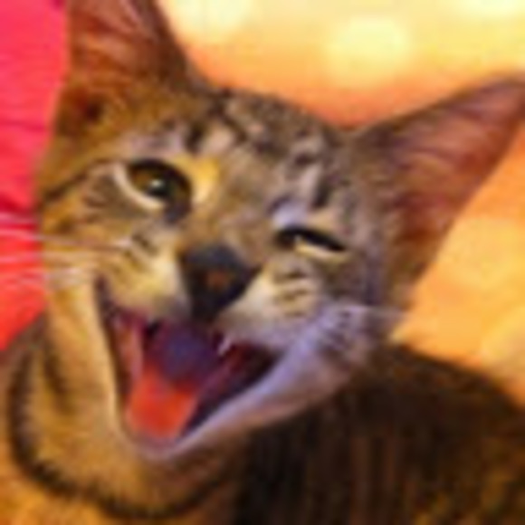 Profile Picture of Lauren Mcfeeley (@l_mcfeeley) on Poshmark