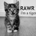 Profile Picture of Diane Judge (@diane.judge.7965) on Facebook