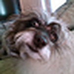 Profile Picture of Stephanie Besch & Thomas Turner (@sjbesch2002) on Flickr