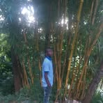 Profile Picture of Ken Kabuine (@Ken-Kabuine) on Facebook