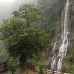 Profile Picture of Muyu Hsieh (@muyuh1) on Facebook