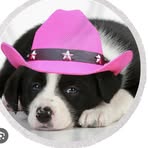 Profile Picture of Trudy Anders (@Trudy-Anders) on Facebook