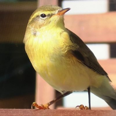 Profile Picture of James W (@UplandDowns) on Twitter