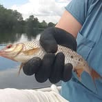 Penny Friman - Facebook Profile Picture of Penny Friman (@Penny-Friman) on Facebook