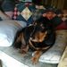 Profile Picture of randal emery (@randaldemery) on Pinterest