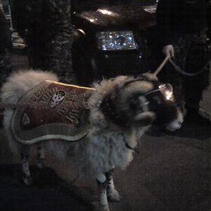 Profile Picture of John Boxall (@boxall_JA) on Twitter