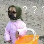 Profile Picture of Tabitha Foster (@tabi.thafosster) on Instagram