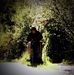 Profile Picture of Adam Luke (@adam.luke.125760) on Facebook