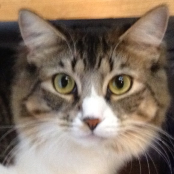 Profile Picture of J Armstrong (@janrita) on Poshmark