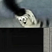 Profile Picture of Jonah Taylor (@jonahtaylor9792) on Youtube