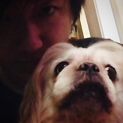 Profile Picture of Man Fung Wong (@ManfungWong2) on Twitter