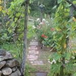 Profile Picture of Lori Palm (@lapalm61) on Instagram