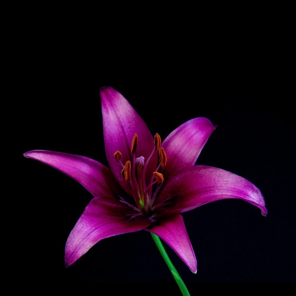 Profile Picture of Erika Carrasco (@chikita316) on Poshmark