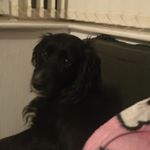 Profile Picture of Tia Baldwin (@candy_lover0308) on Instagram