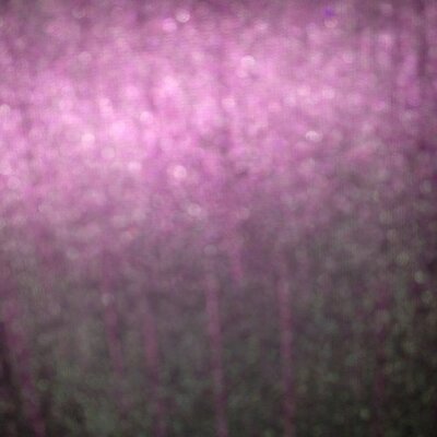 Profile Picture of Jeremy Robertson (@JRobert4114) on Twitter