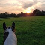 Profile Picture of charlotte carrajat (@painted_eventer) on Instagram