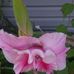 Profile Picture of Sandra Jenkins (@sandra.jenkins.524596) on Facebook
