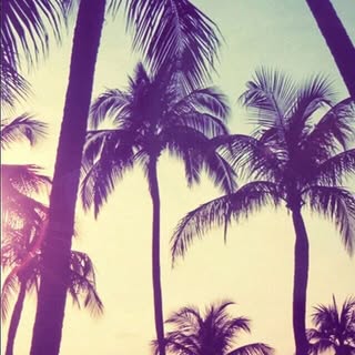 Profile Picture of Kelsey Brower❤️ (@kelsey.brower) on Instagram