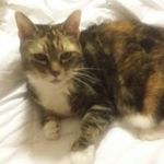 Profile Picture of Faye Nicholson Bennett (@fayrene7) on Instagram