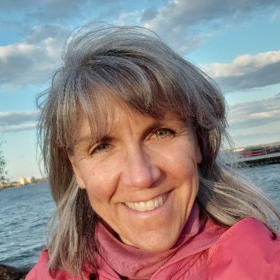 Profile Picture of Dr Karen Caldwell ~ Improvement Scientist (@karenecaldwell) on Twitter