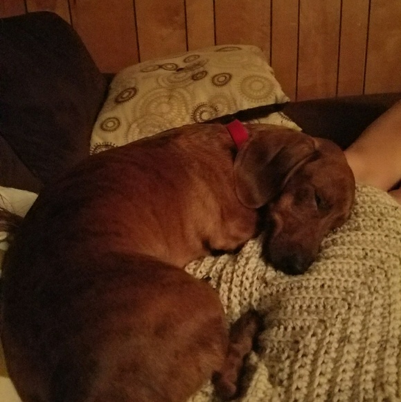 Profile Picture of Jared Okuly (@oaktree420) on Poshmark