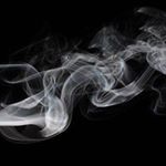 Profile Picture of Dino Ortolani (@d.ortolani) on Instagram